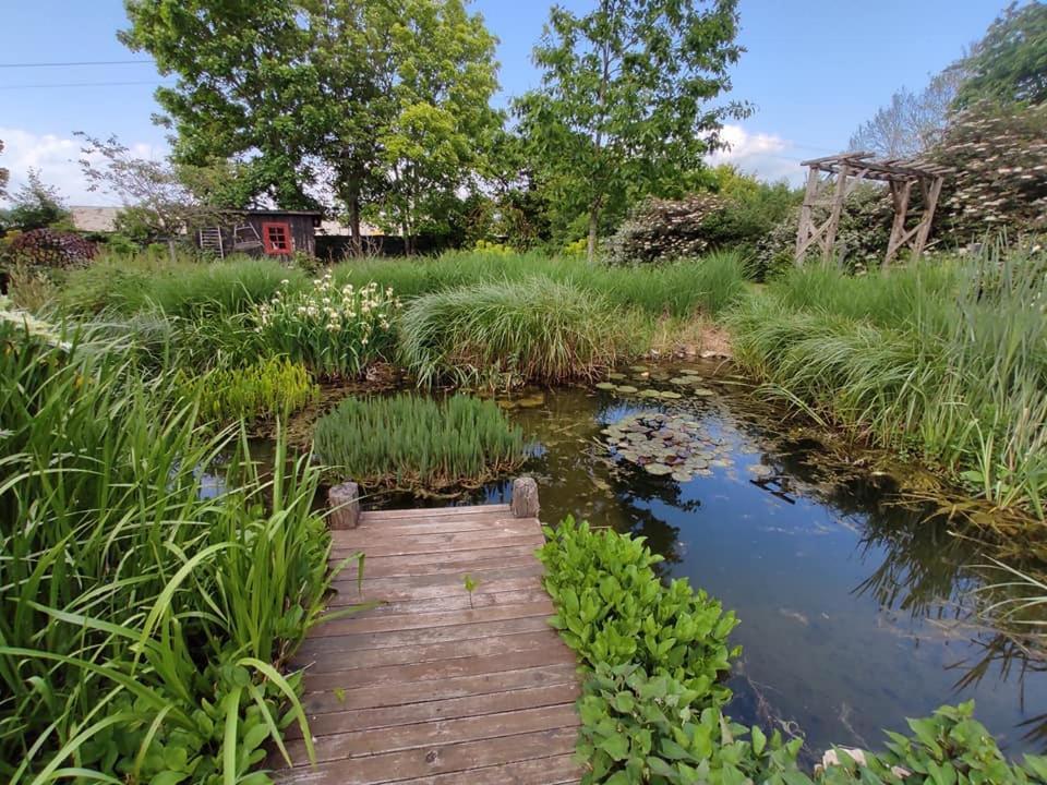 Au Jardin De La Marquetterie Villa Cigogne Eksteriør billede