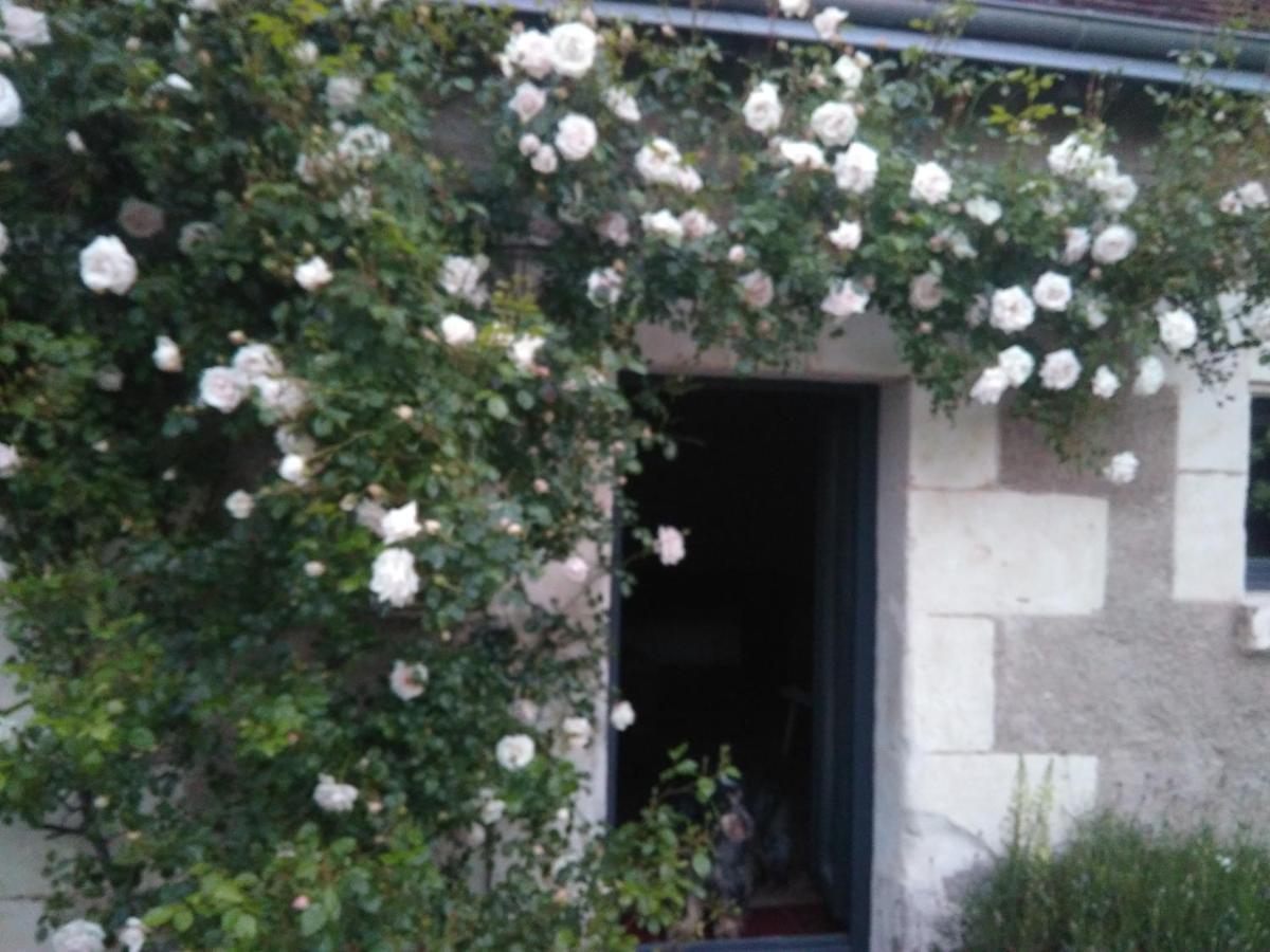 Au Jardin De La Marquetterie Villa Cigogne Eksteriør billede