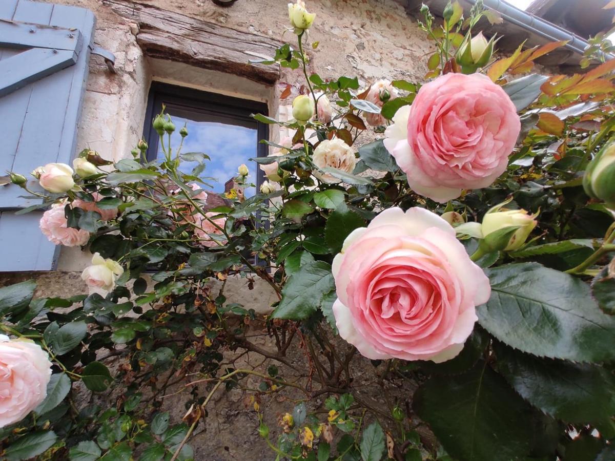 Au Jardin De La Marquetterie Villa Cigogne Eksteriør billede